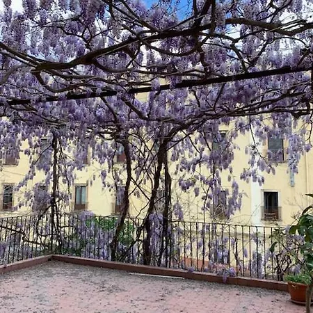Il Glicine Apartment Catania
