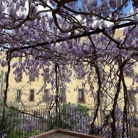 Il Glicine * Catania