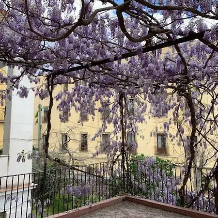 Il Glicine Apartment