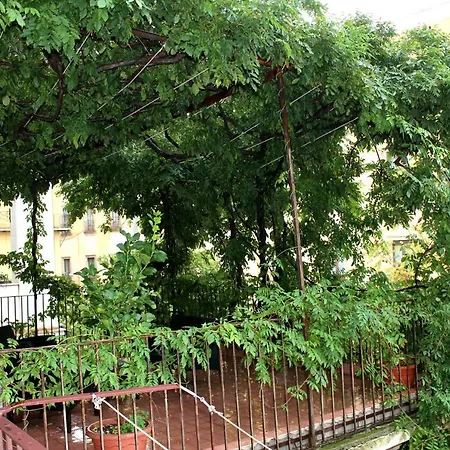 Il Glicine Apartment *